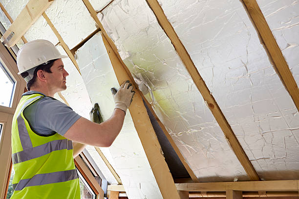 Best Insulation Maintenance and Repair in Lake Lure, NC